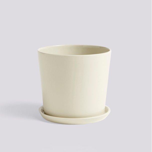 BOTANICAL FAMILY SET Large Off-white
