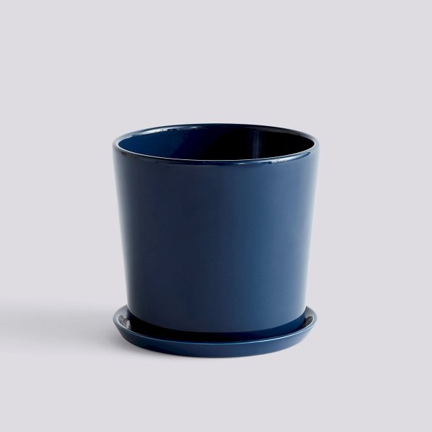 BOTANICAL FAMILY SET Large Dark Blue